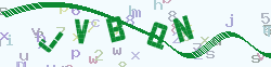 Image Verification Code